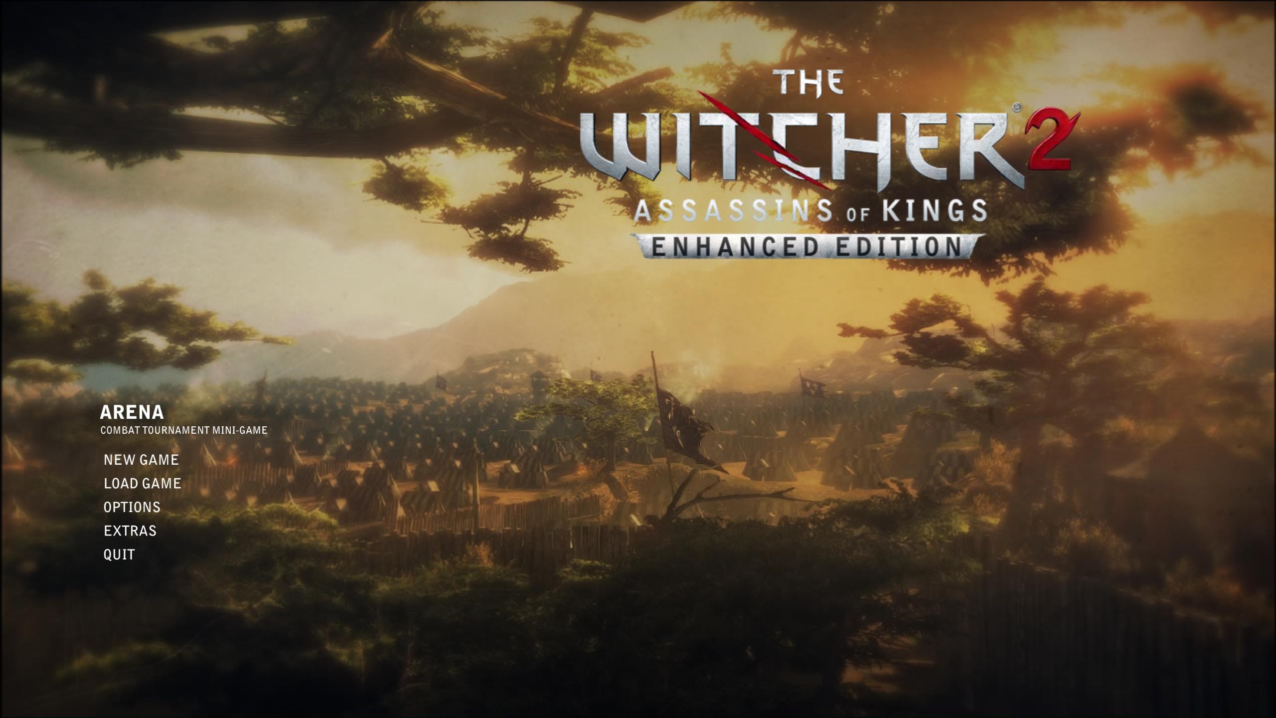 The Witcher 2 Ending Choices and Consequences