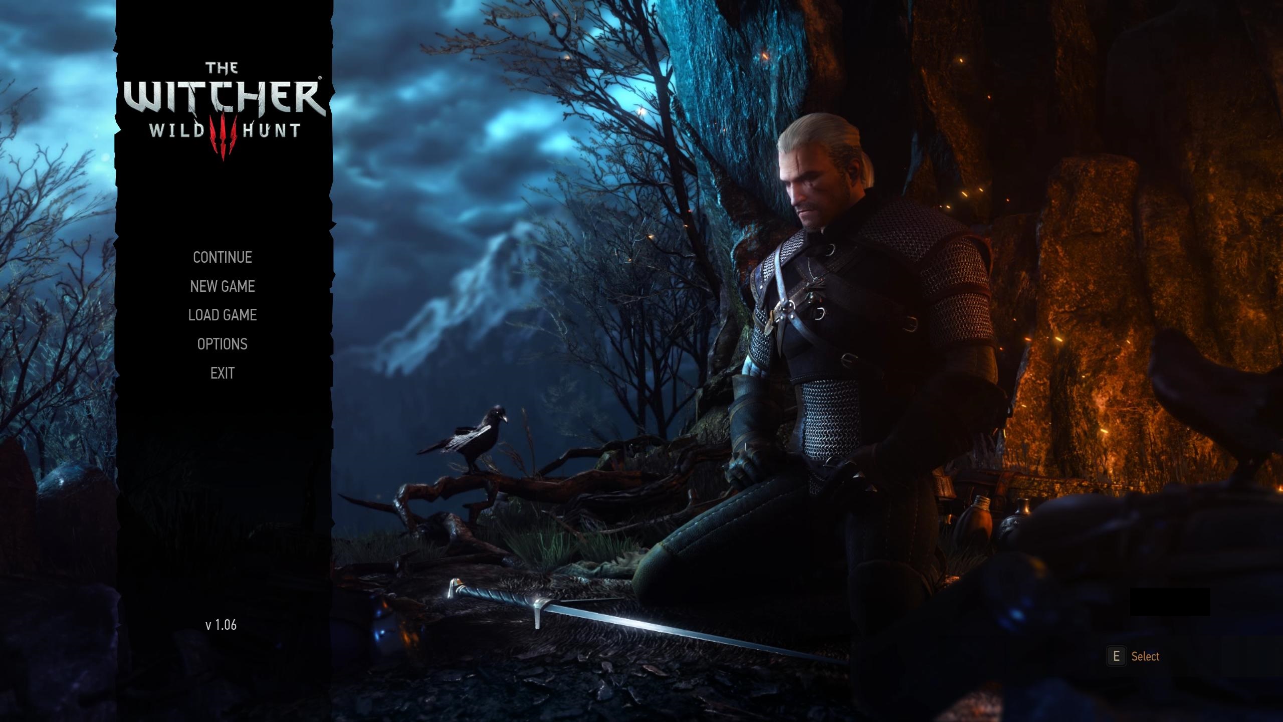 The Witcher 3: Wild Hunt, Software